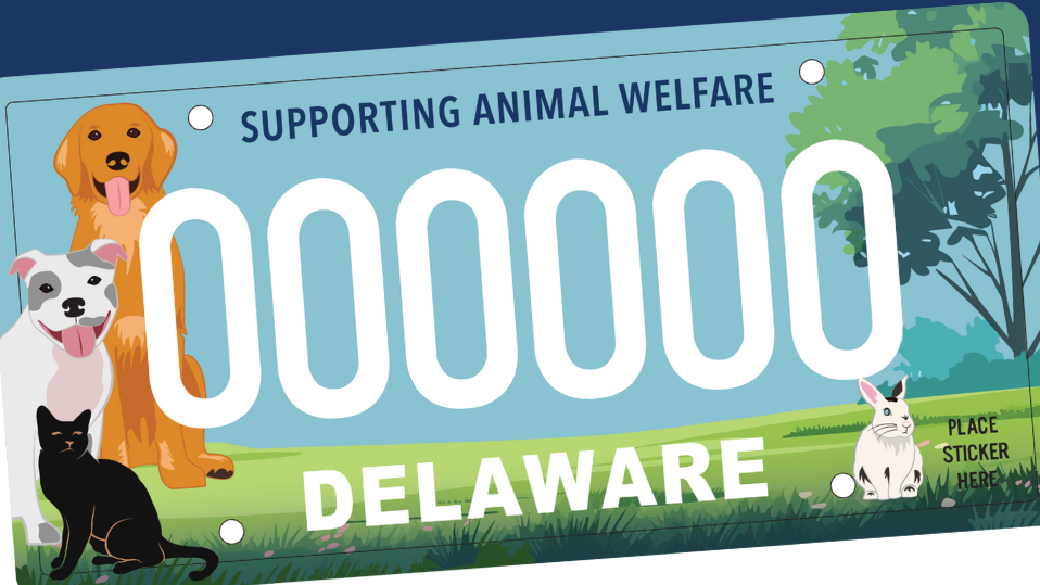 Delaware Office of Animal Welfare Announces New License Plate